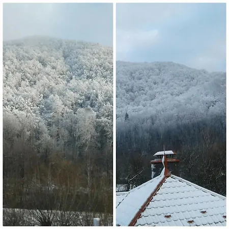 усадьба 